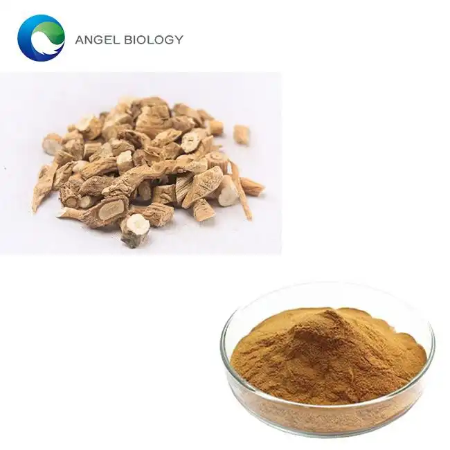 Herbal Health Benefits of Isatis Root Extract Explained